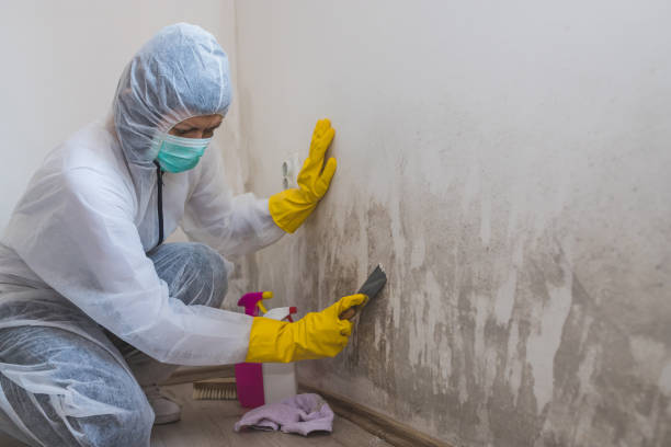 Water Damage Restoration in Wauna, WA