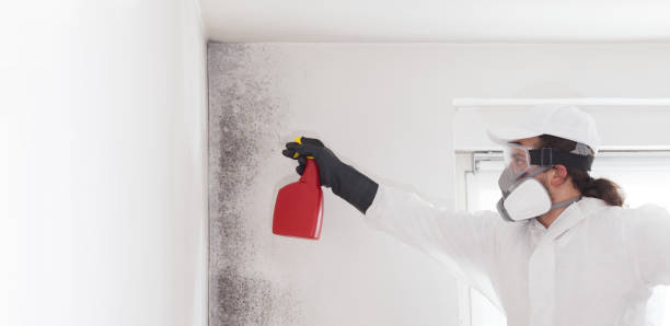 Best Mold Inspection  in Una, WA