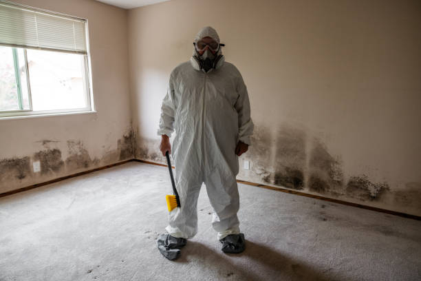 Best Fast Mold Removal  in Una, WA